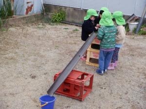 3歳1