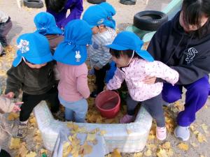 落ち葉プールにぎゅうぎゅうに入る子ども達