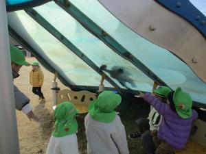 ゆうゆう公園魚