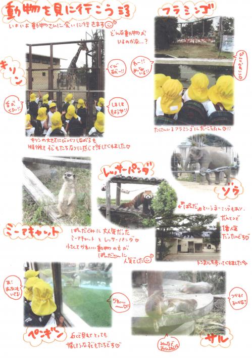 運動会2
