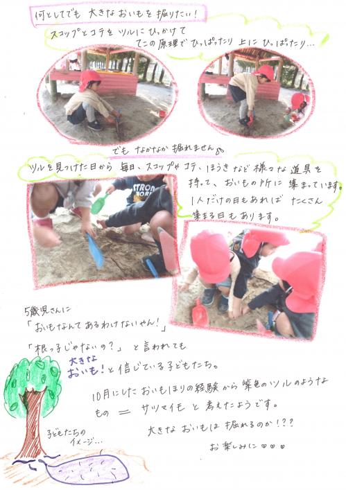11月４