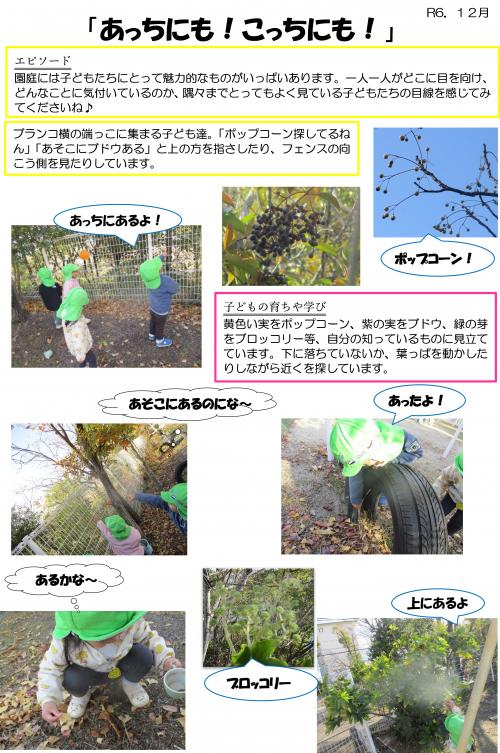 あっちにも