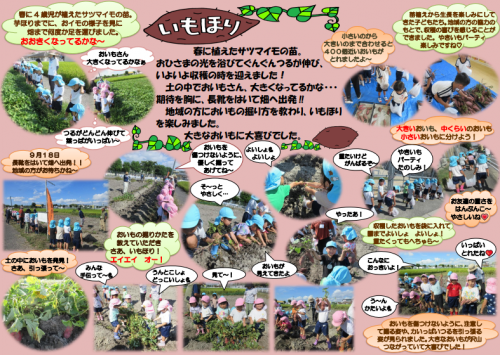 いもほり