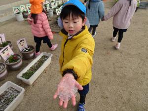 雪を触ると冷たい