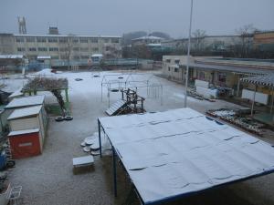 雪景色