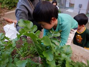 3歳2
