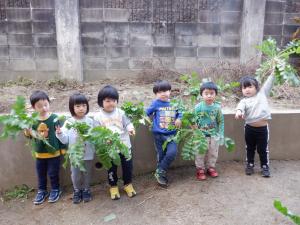 3歳3