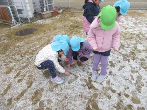 雪に足跡が付いたよ