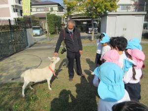 ヤギのこむぎちゃんにも出会いました