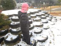 雪がうっすらと積もっています