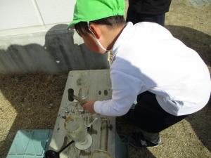 とんとん