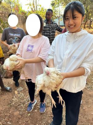 命をいただく　鶏を調理する