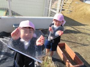 氷見つけたよ