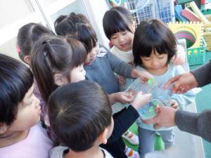 ３歳2