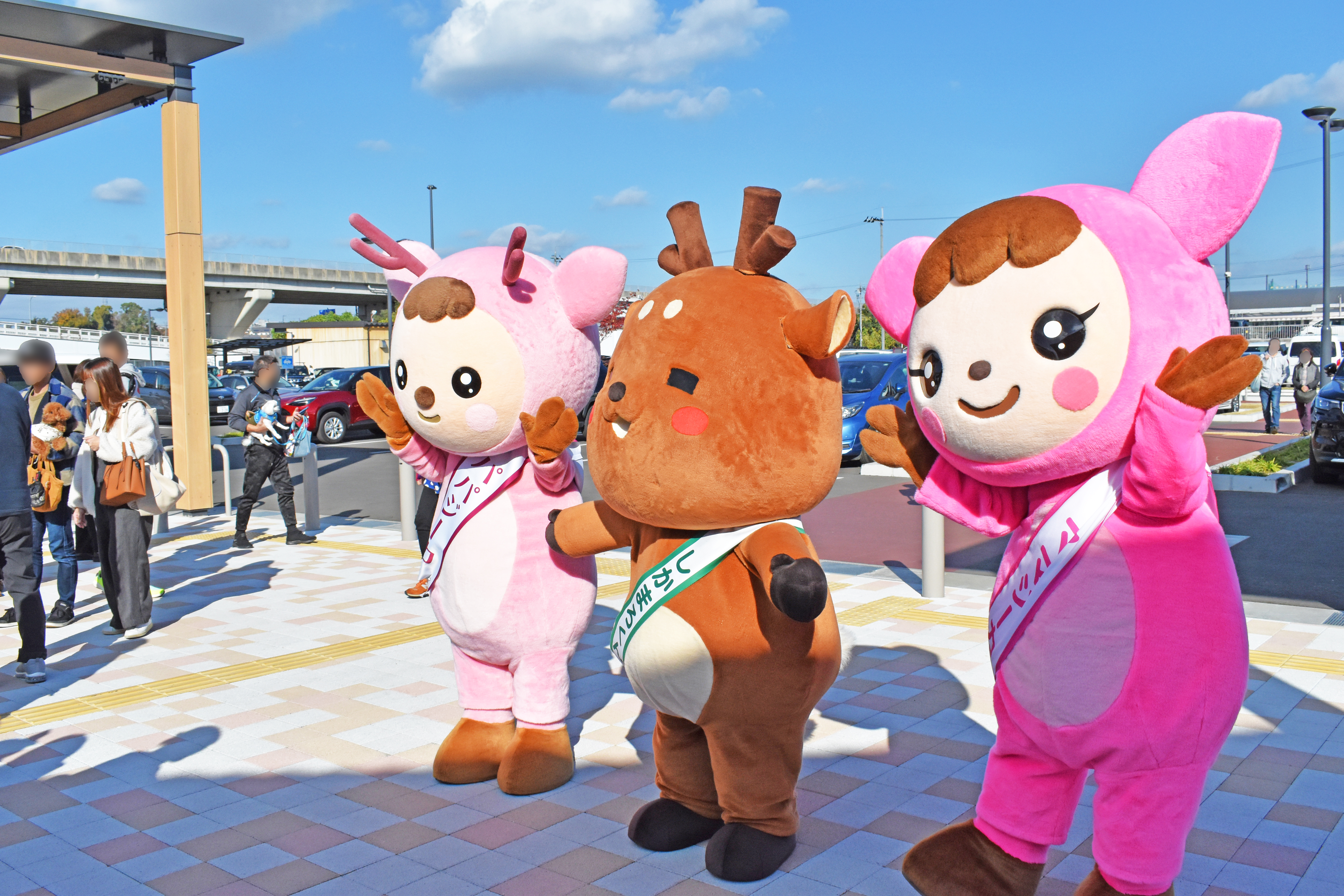 しかまろショット