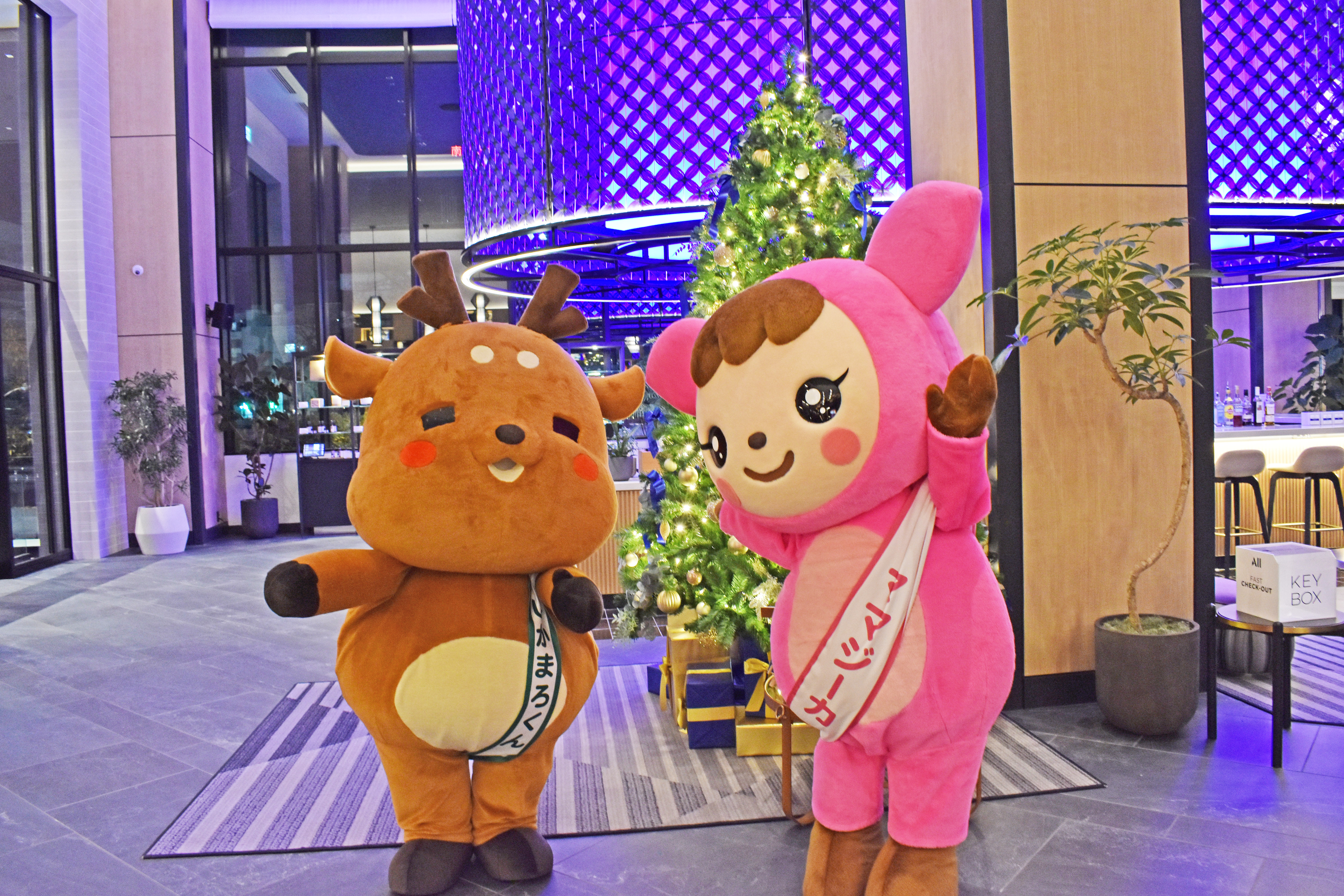 しかまろくんとママジーカ