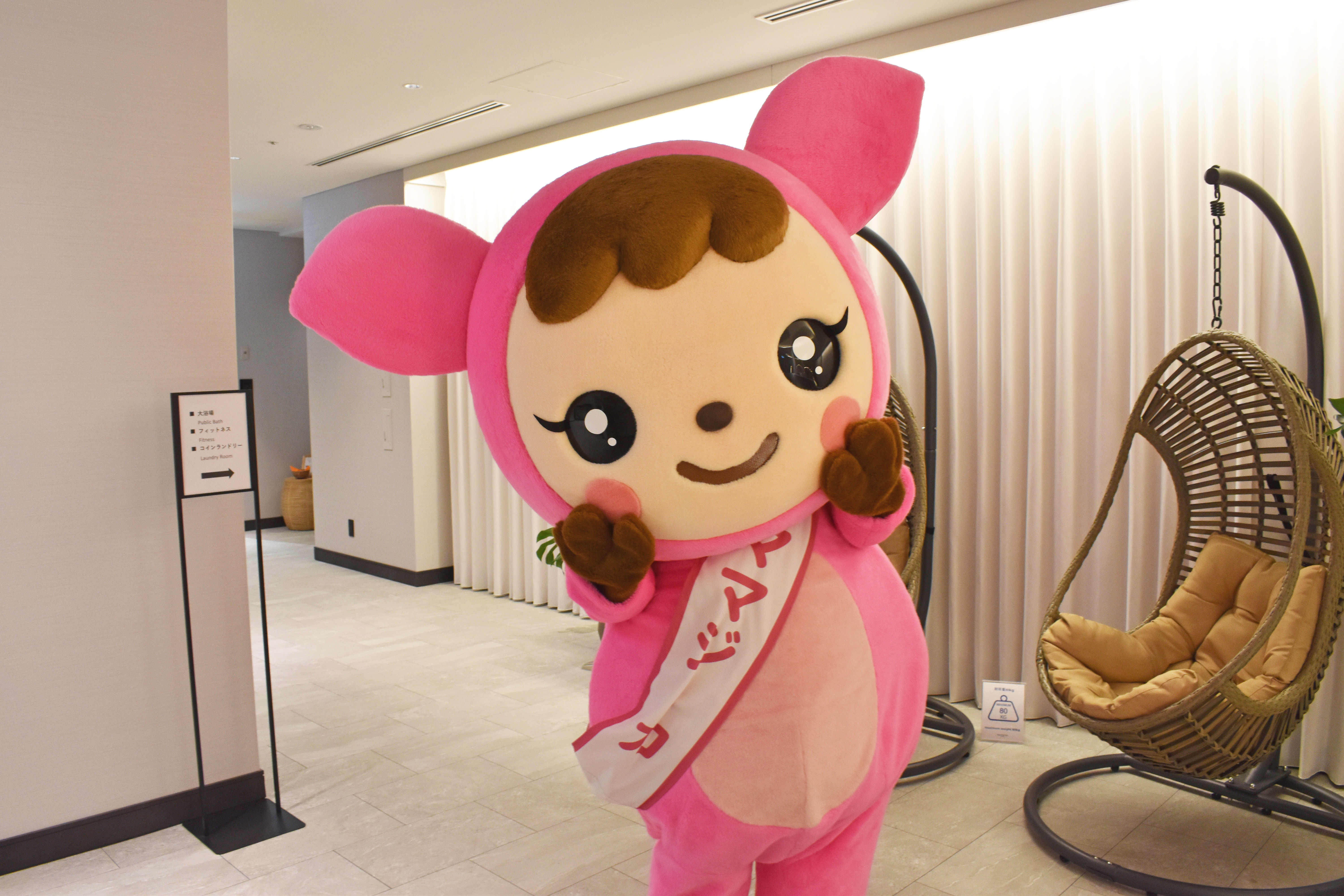 ママジーカソロ