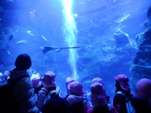 大水槽の前で