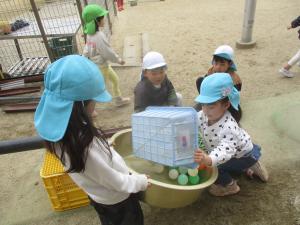 転がし遊び