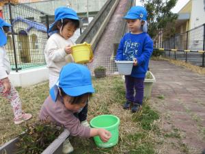 虫探し　「むしさんでておいで」