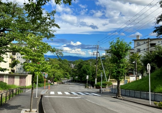 まちの散策の様子