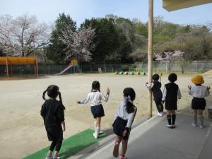 さくら