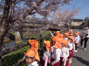 桜　2組