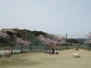 桜