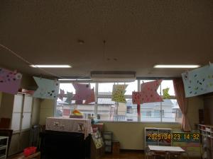ほし組　保育室を元気に泳いでいるこいのぼりです