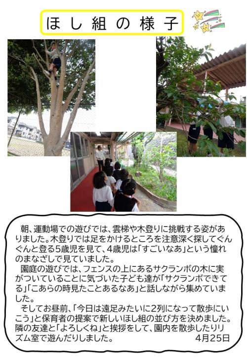 ほし組の様子