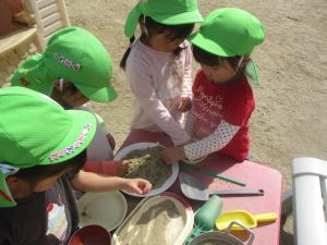 ４歳児園庭でままごとをする様子