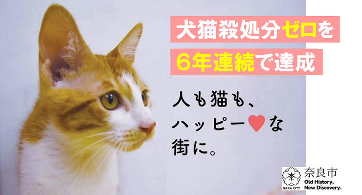 犬猫殺処分ゼロを6年連続で達成(人も猫も、ハッピーな街に。)