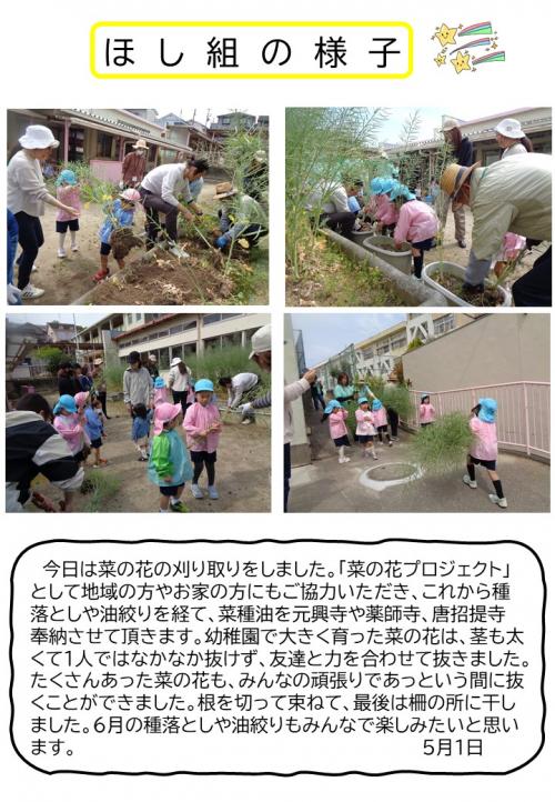 ほし組の様子