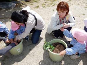 佐保幼　5月保育参観5
