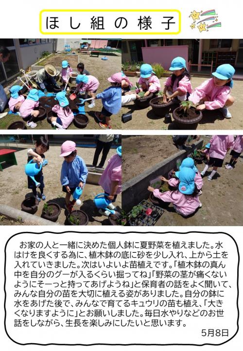 ほし組の様子