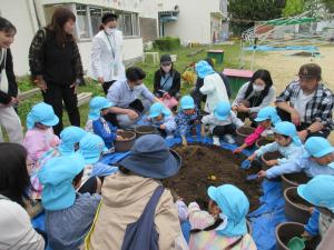 4歳児　千日紅