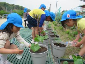 水やり