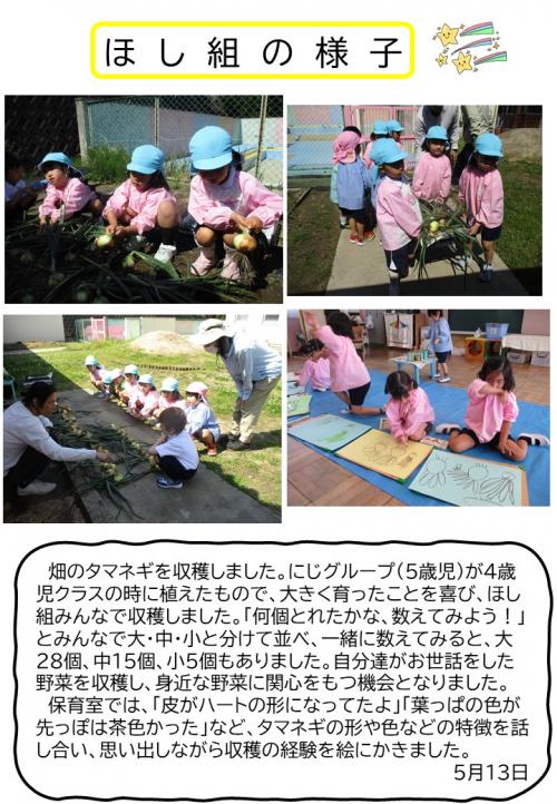 ほし組の様子