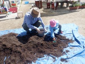 4歳児苗植え２