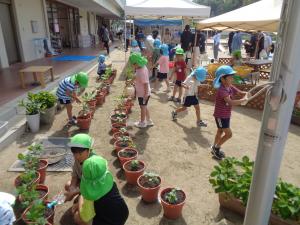 夏野菜植え　水やり