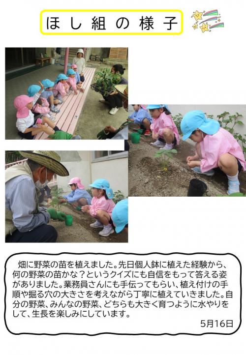 ほし組の様子