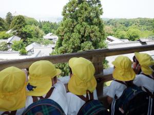 佐保幼　春の遠足5
