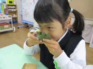 柏の葉っぱの匂いを嗅いでいる子ども