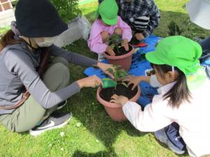 植木鉢に花の苗を保護者と一緒に植えている子ども