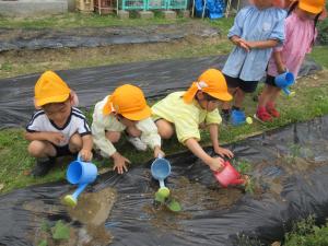 水