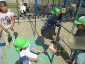4歳児登り棒で遊ぶ姿