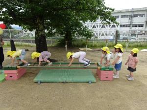 園庭で遠足