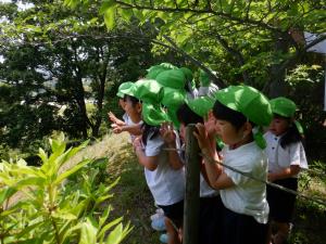 頂上の様子