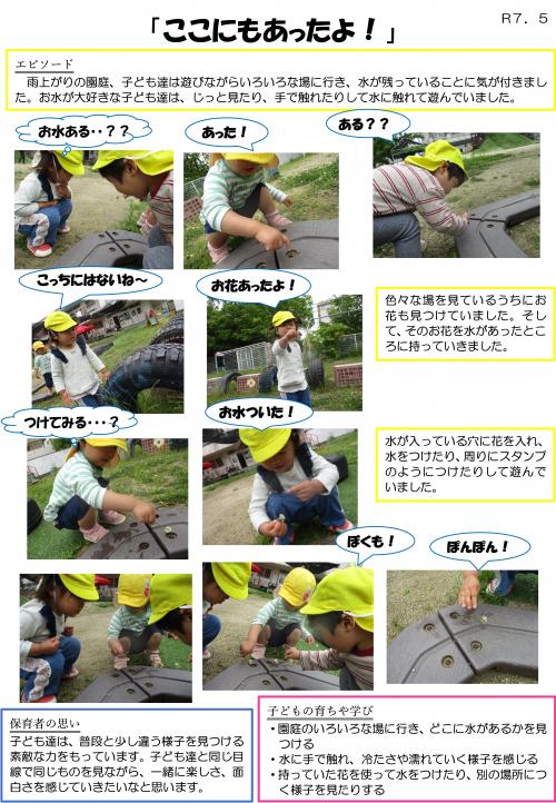 ここにも