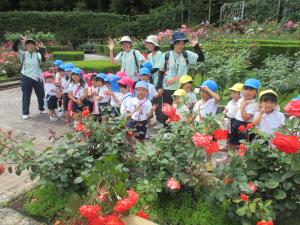 ハイチーズ　バラ園